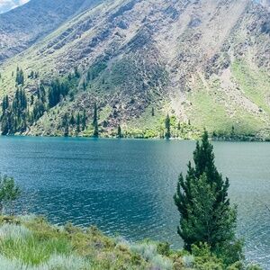 Meet your Posher, Love